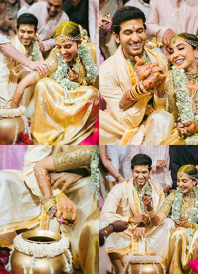 Parvati Nair Wedding photos goes viral15