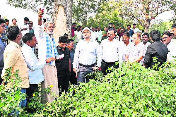 విద్యార్థులకు నాణ్యమైన భోజనం అందించాలి1