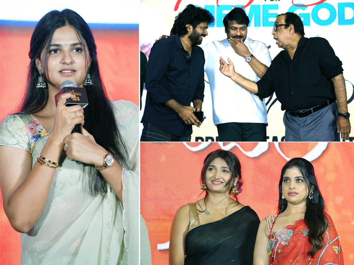 Brahmanandam Pre Release Event Photos1