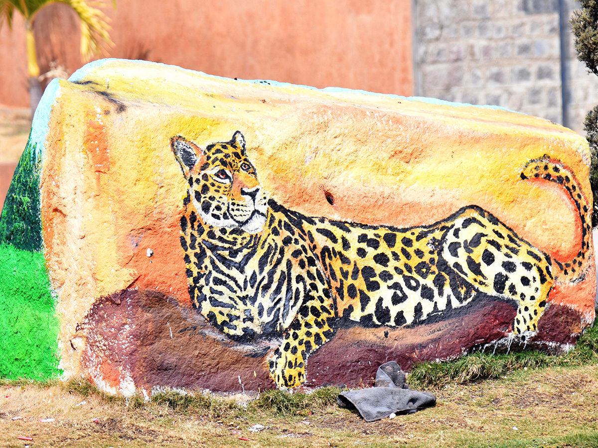 Wild Animals paintings on Hyderabad Roads By GHMC1