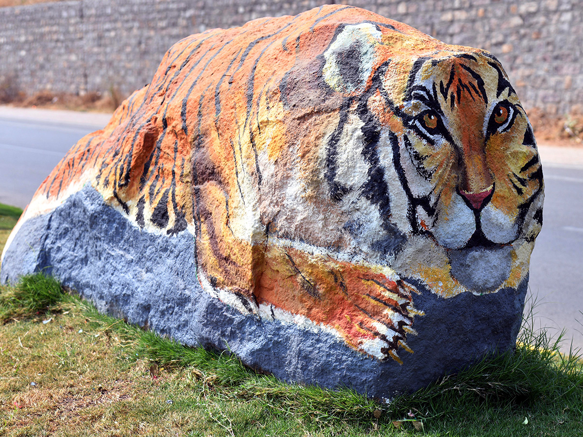 Wild Animals paintings on Hyderabad Roads By GHMC11