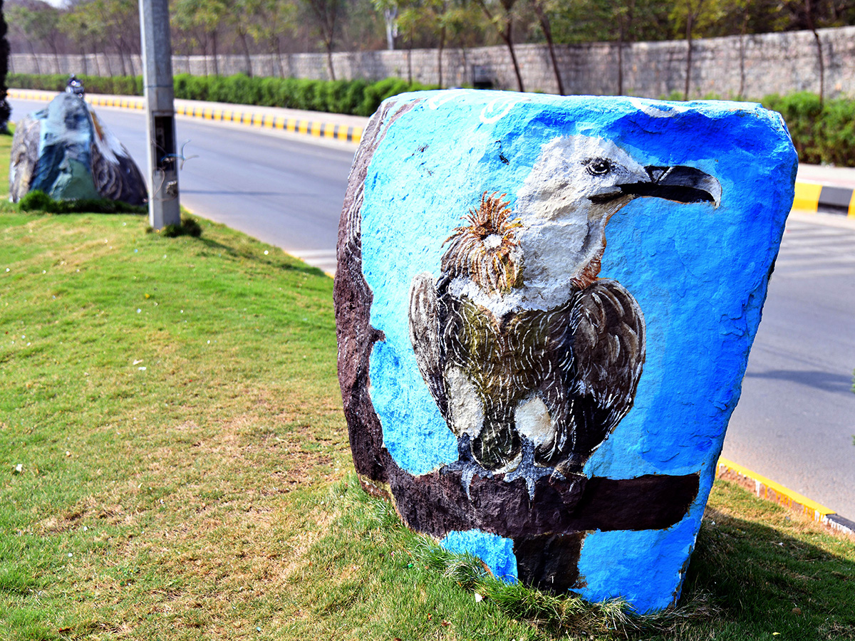 Wild Animals paintings on Hyderabad Roads By GHMC5