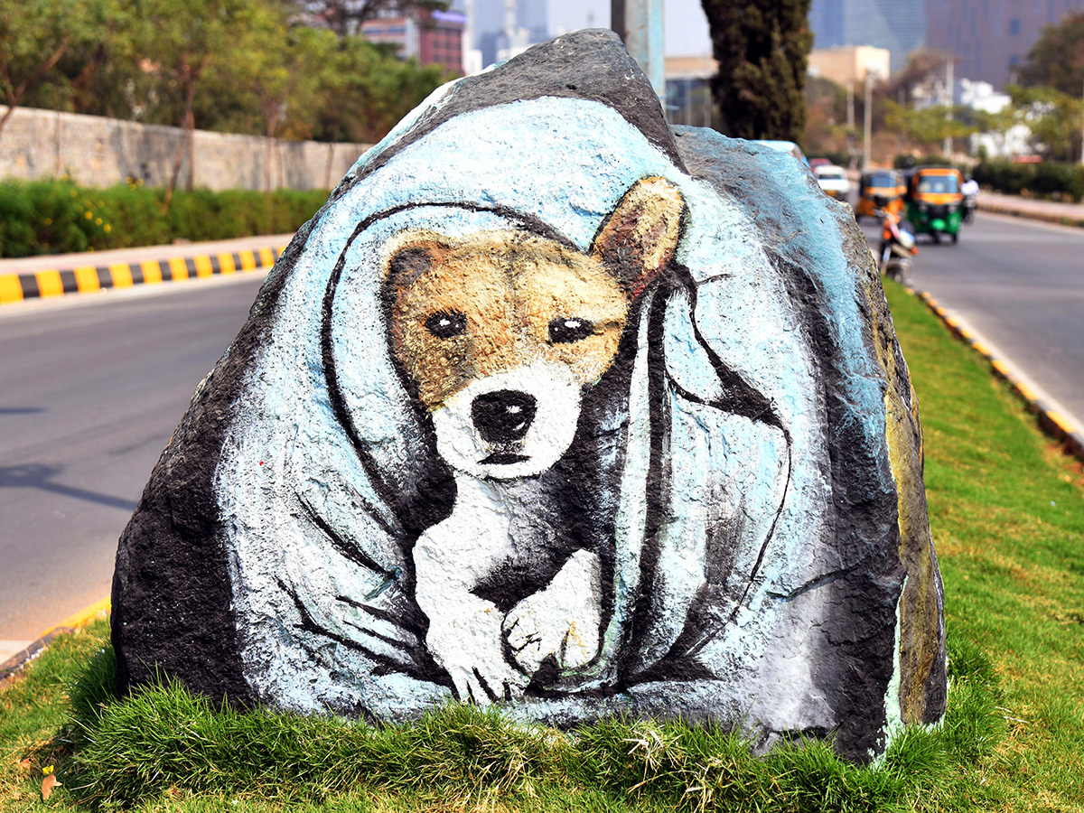 Wild Animals paintings on Hyderabad Roads By GHMC7