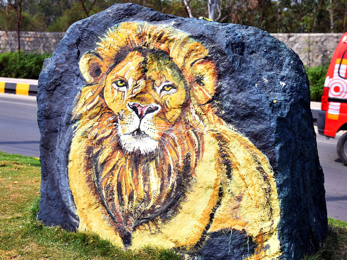 Wild Animals paintings on Hyderabad Roads By GHMC9