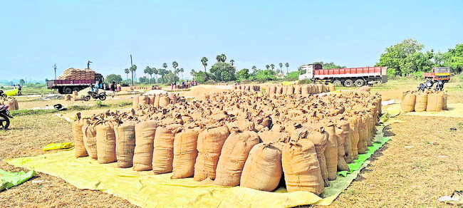 బాధ్యతగా పర్యావరణ పరిరక్షణ2