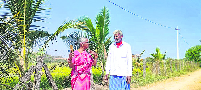 ఇస్మార్ట్‌ బామ్మ!2