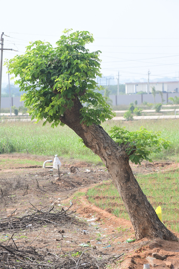 Best Photos of The Week in AP and Telangana Photo Gallery12