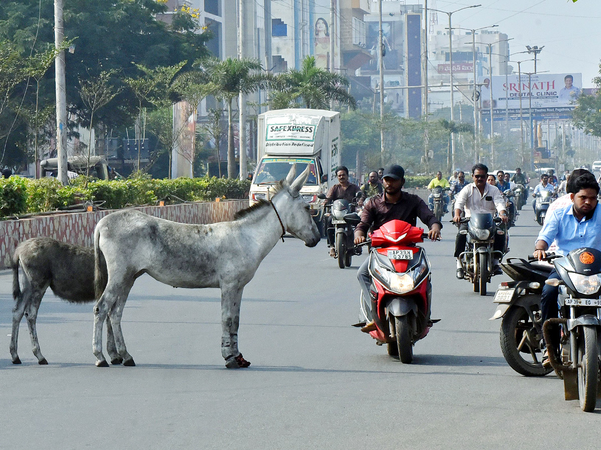 Best Photos of The Week in AP and Telangana Photo Gallery18