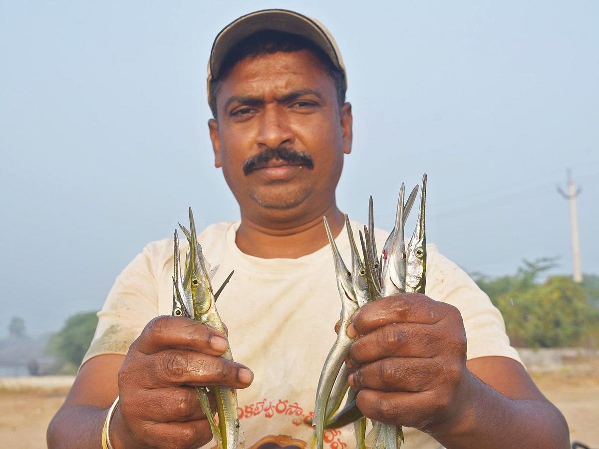 Best Photos of The Week in AP and Telangana Photo Gallery32