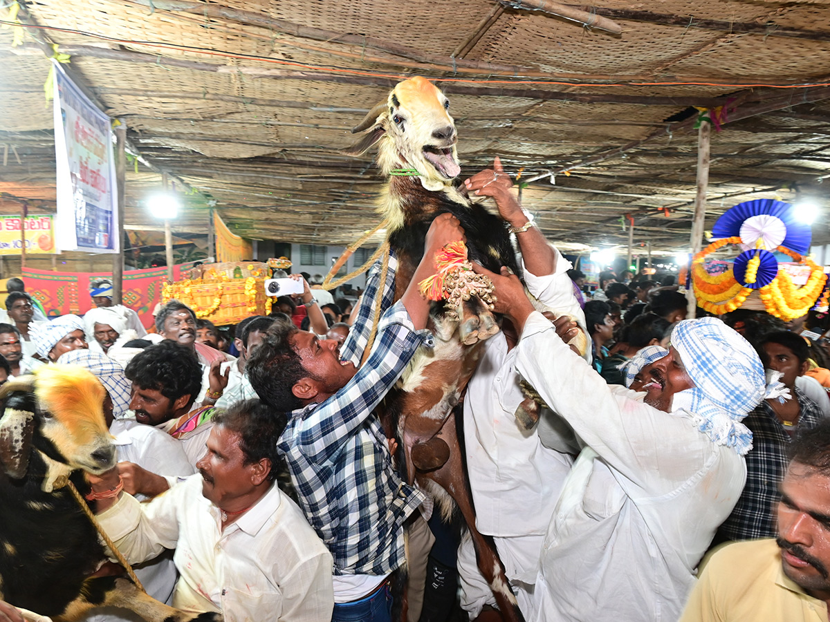 Devotees Rush at Durajpally Peddagattu Jatara 2025 Photos21