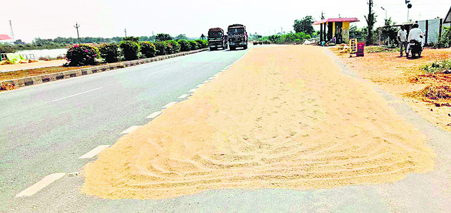 జిలకర మసూరీ రకానికి మద్దతు ధర కరువు 
1