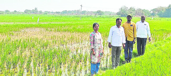 పోషకాల లోపం.. ఎదుగుదలపై ప్రభావం1