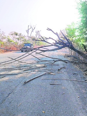 ఎమ్మెల్యే చొరవతో రోడ్లకు మహర్దశ 
2