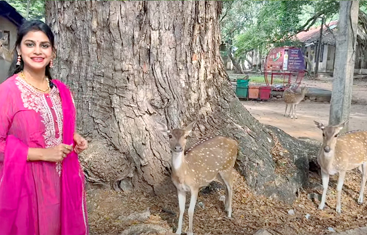 Bigg Boss Fame Sonia Akula Visits Shankari Devi Shakthi Peetham, At Srilanka Photos3