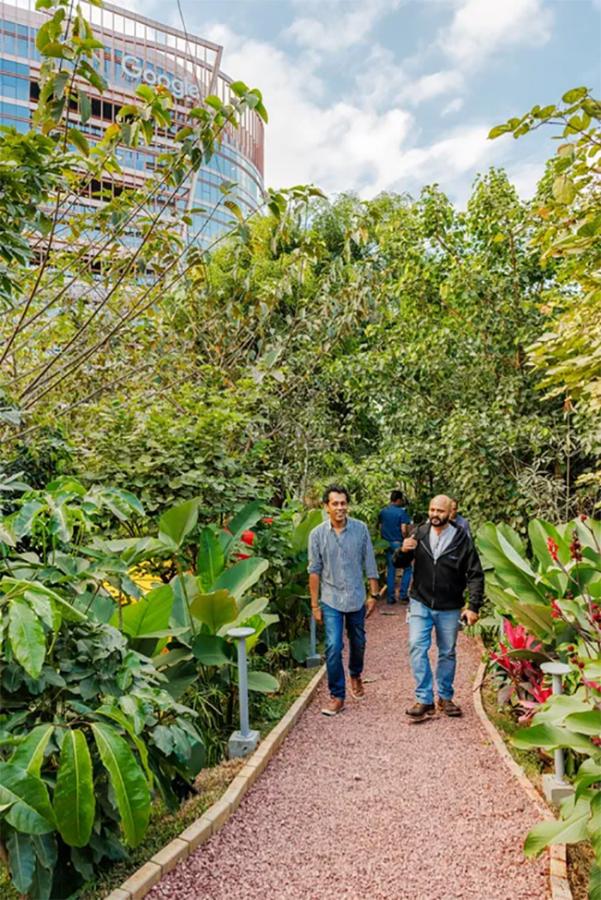 Google opens new office Ananta in Bengaluru photos goes viral5