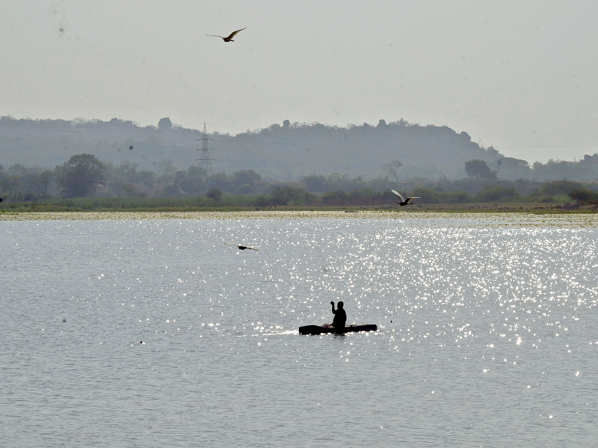 Best Photos of The Week in AP and Telangana Photo Gallery19