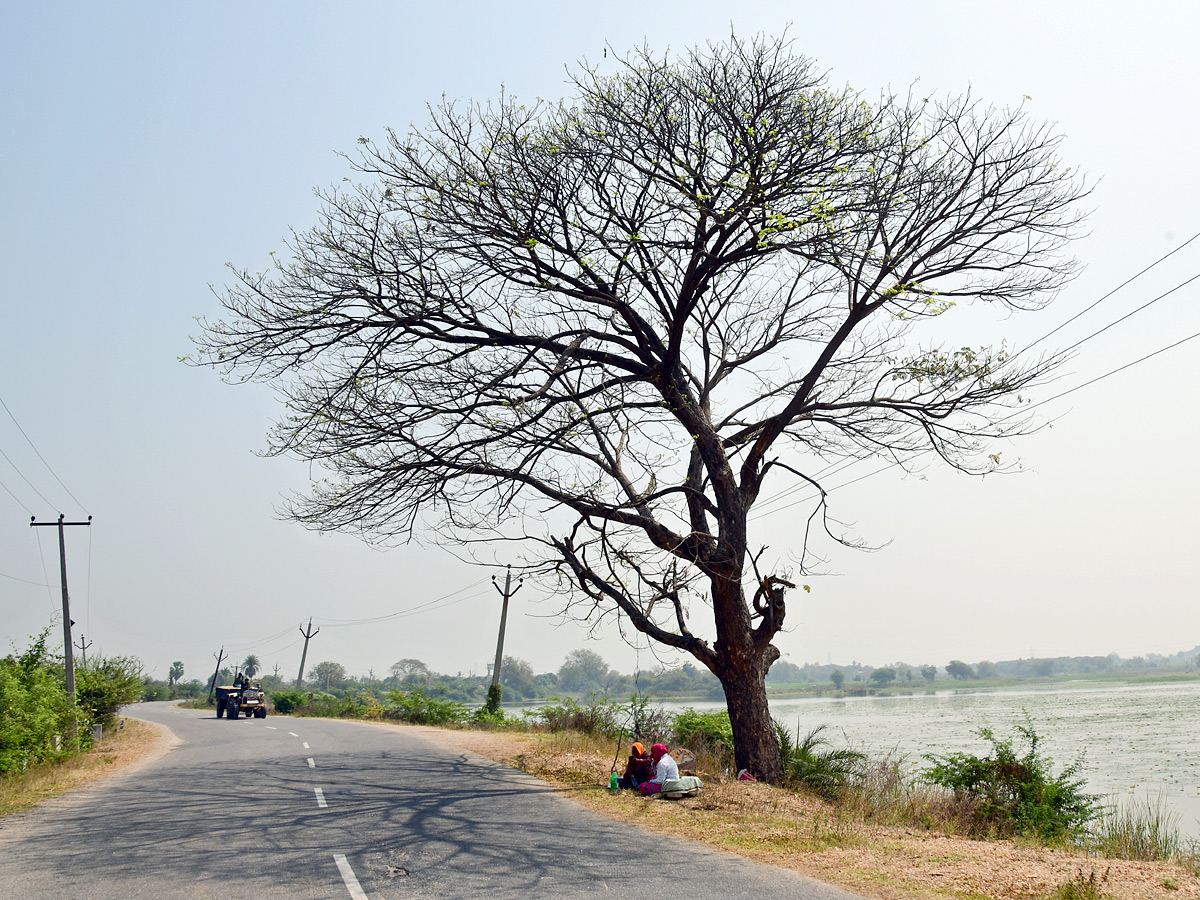 Best Photos of The Week in AP and Telangana Photo Gallery31