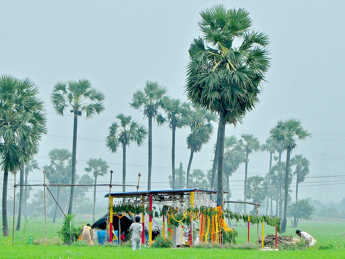 Best Photos of The Week in AP and Telangana Photo Gallery37