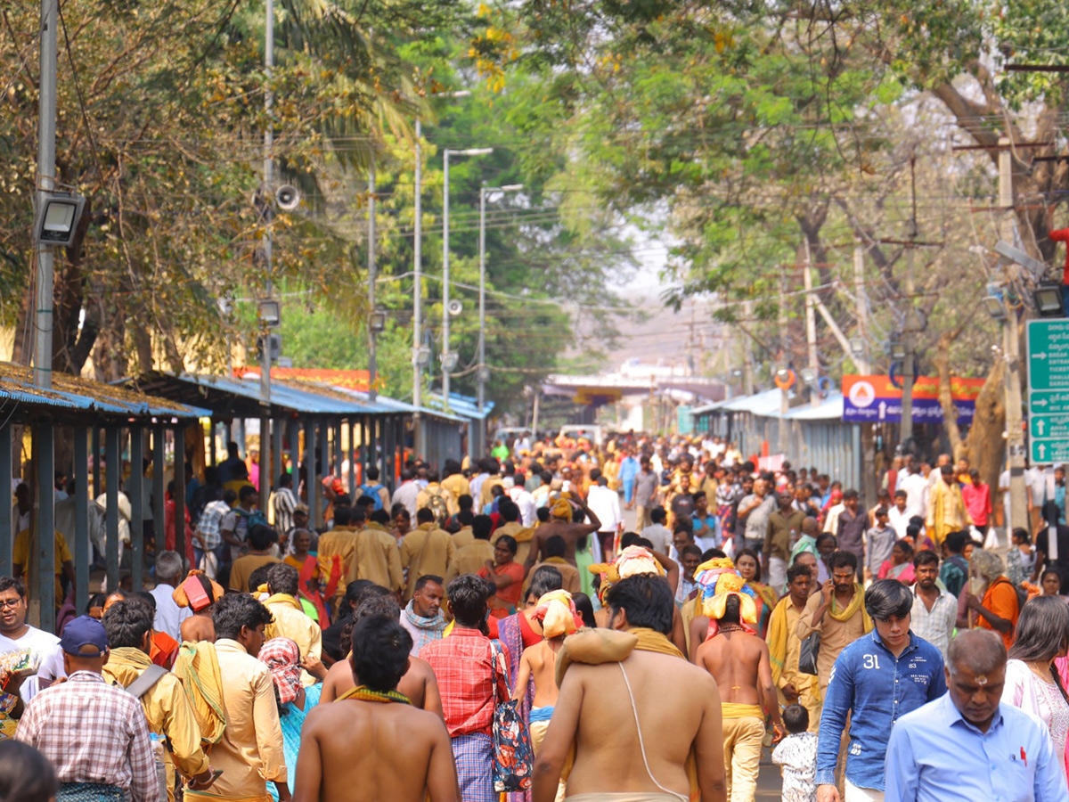 Maha Shivaratri 2025 Celebrations at Srisailam Photos11