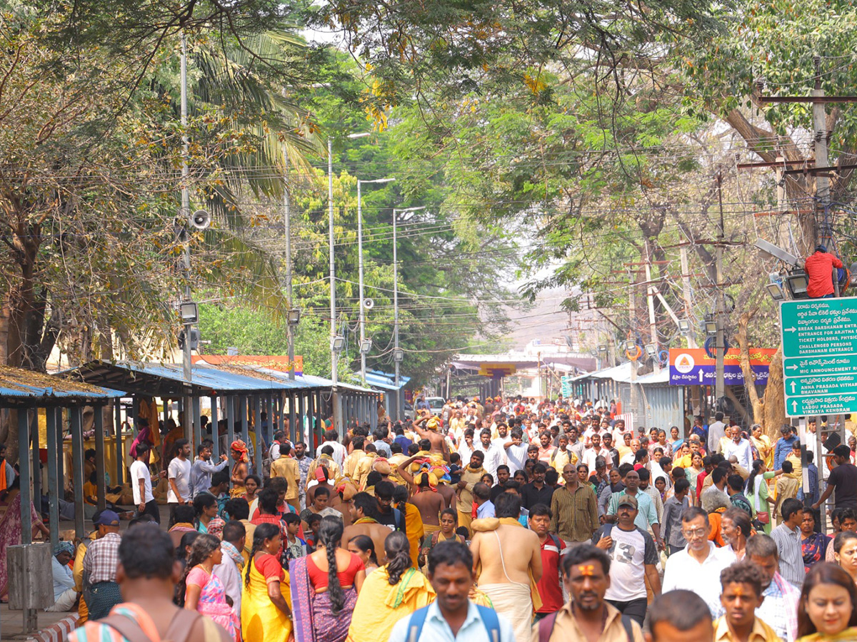 Maha Shivaratri 2025 Celebrations at Srisailam Photos18