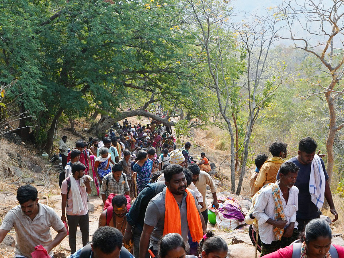 Maha Shivaratri 2025 Celebrations at Srisailam Photos2