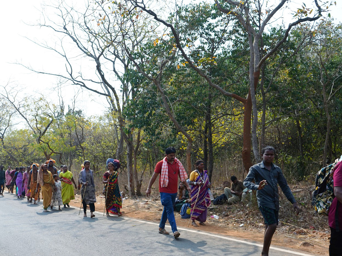 Maha Shivaratri 2025 Celebrations at Srisailam Photos7