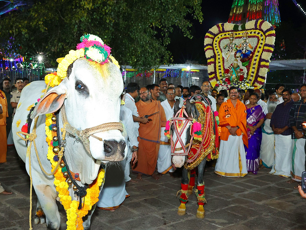 Maha Shivratri 2025 : Srisailam Brahmotsavam 2025 Photos6