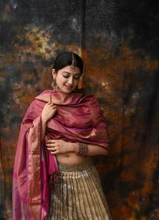 Pranitha Subhash Traditional Look Photos6