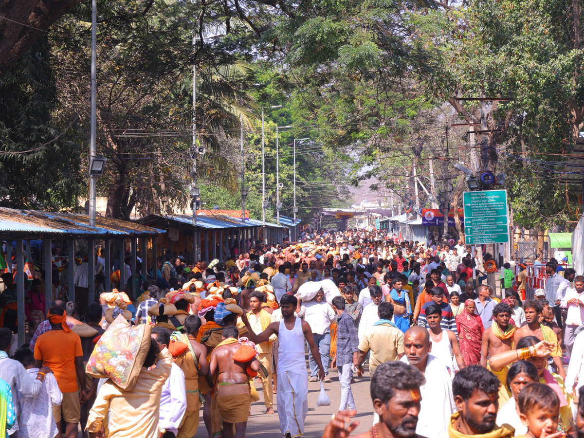 maha shivaratri 2025 celebrations at srisailam photos15