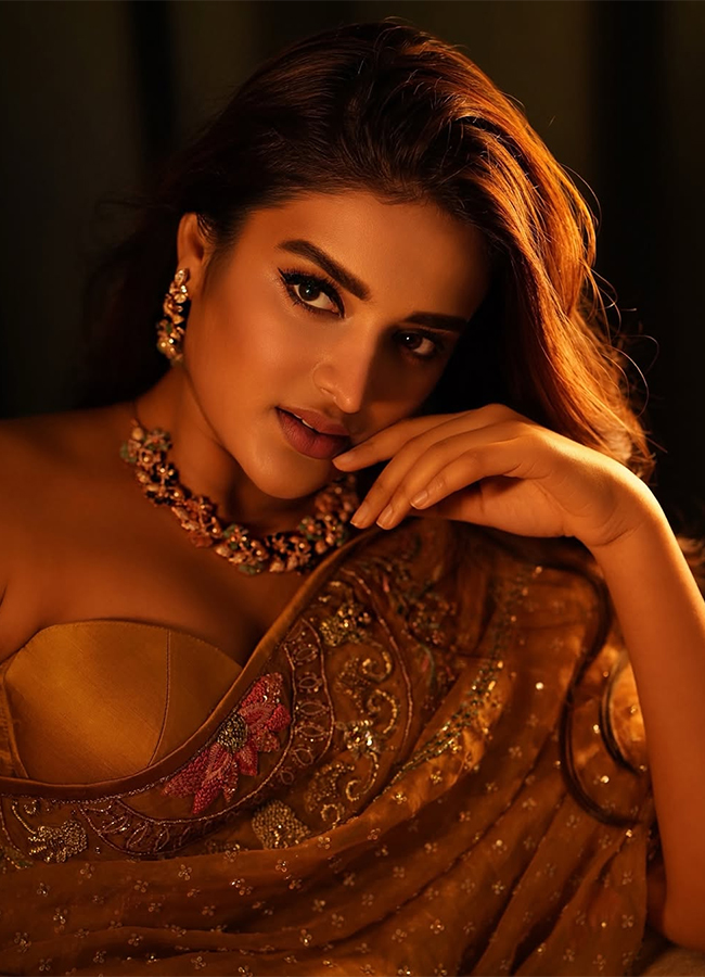 Actress Nidhhi Agerwal Latest Photos11