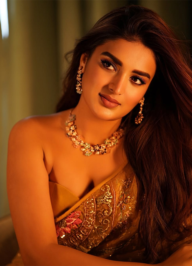 Actress Nidhhi Agerwal Latest Photos2