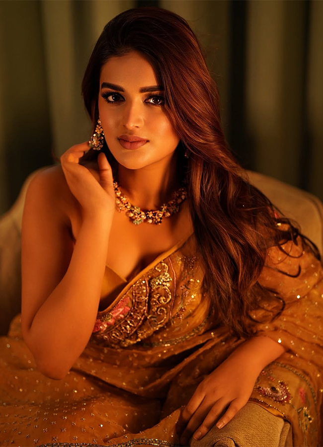 Actress Nidhhi Agerwal Latest Photos3