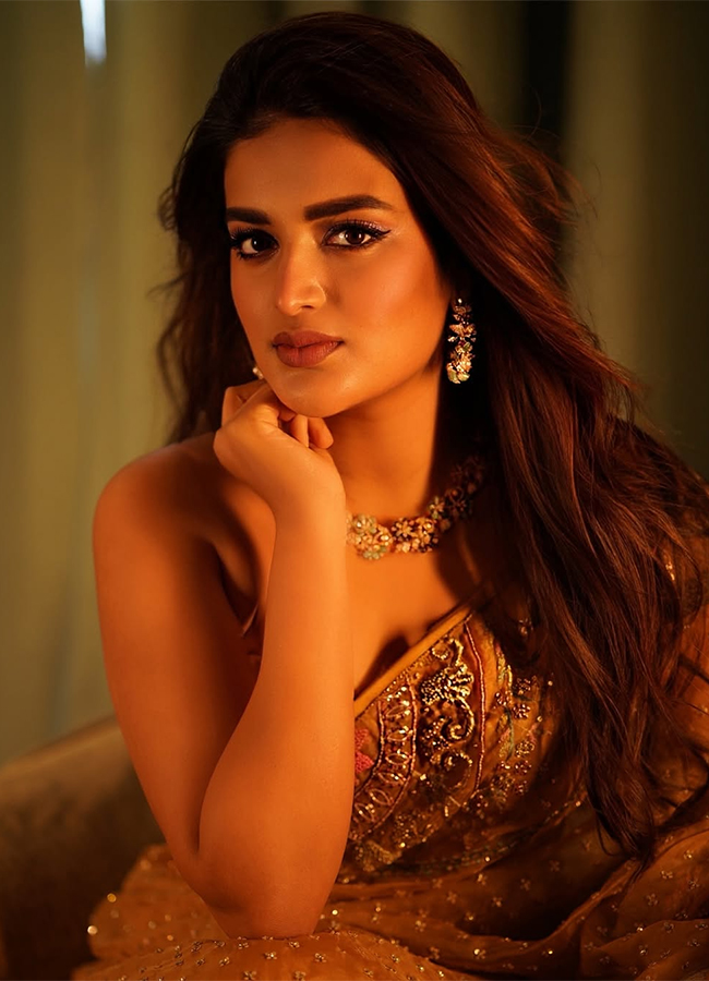 Actress Nidhhi Agerwal Latest Photos4