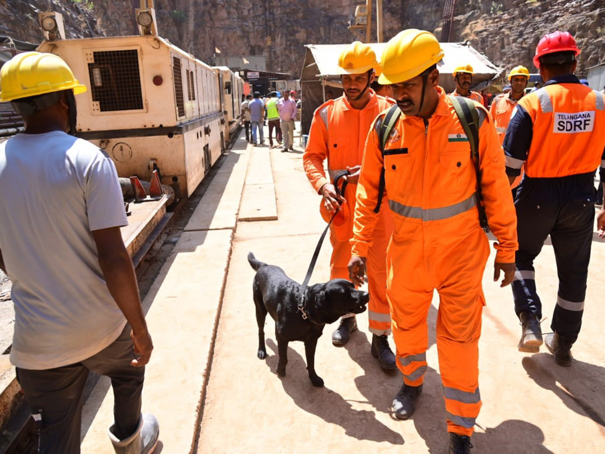 Rescue Operations Ongoing At SLBC Tunnel Collapse Photos10