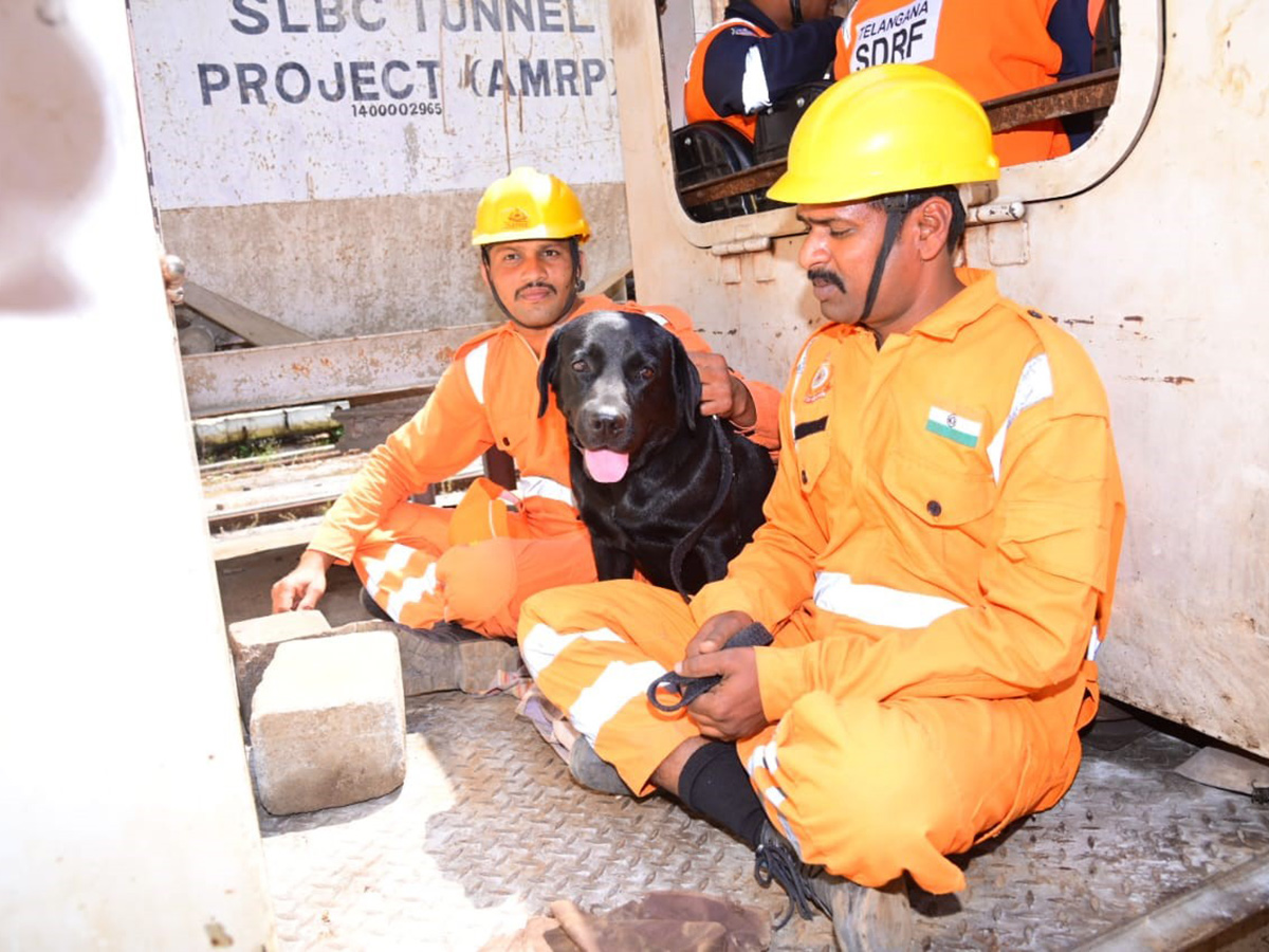 Rescue Operations Ongoing At SLBC Tunnel Collapse Photos16