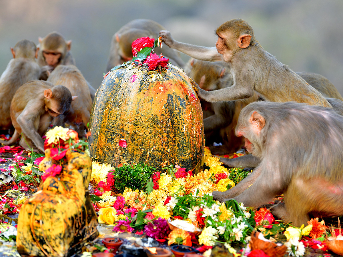 Shivaratri 2025 Celebrations in Keesaragutta Temple Photos21