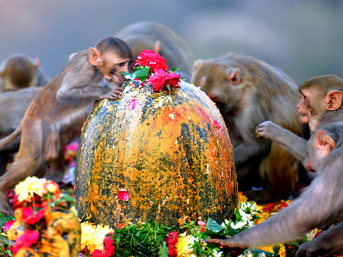 Shivaratri 2025 Celebrations in Keesaragutta Temple Photos8