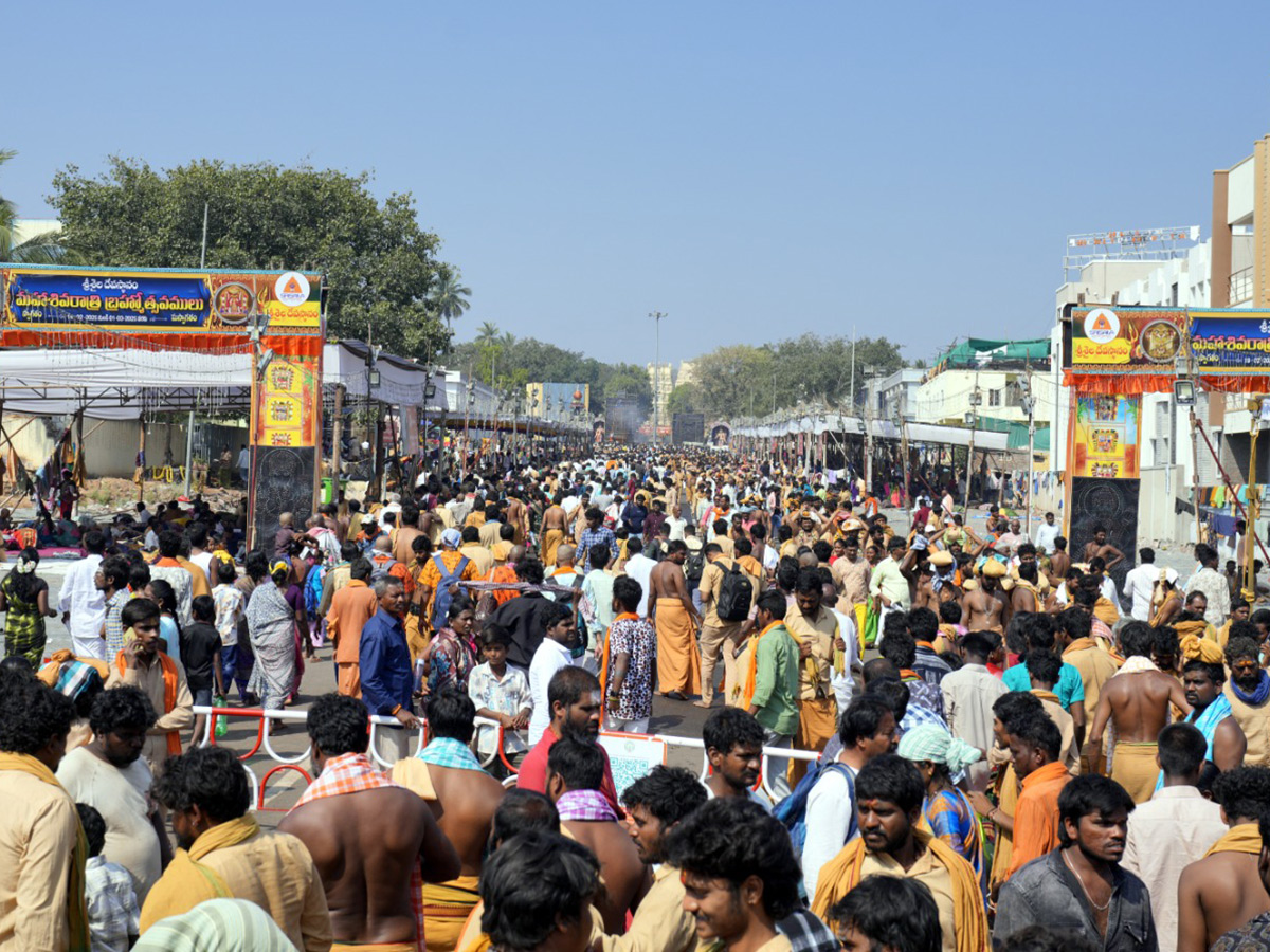 maha shivaratri celebrations at telugu states photos15