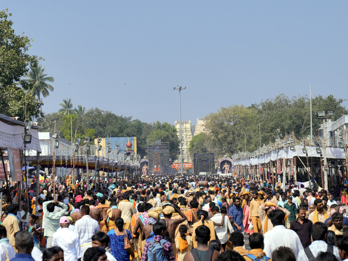 maha shivaratri celebrations at telugu states photos19