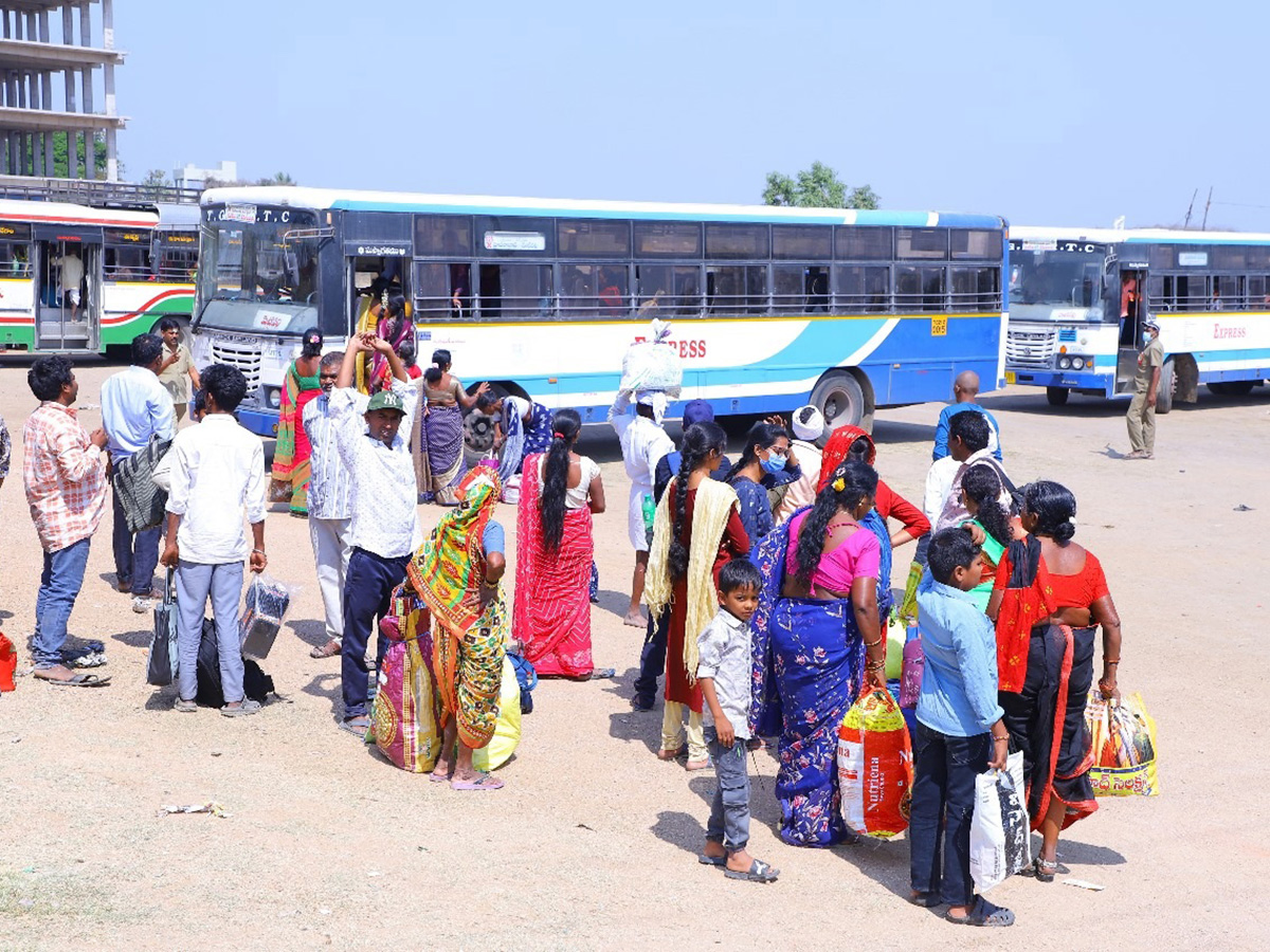 Maha Shivratri Celebrations in Vemulawada: Photos5