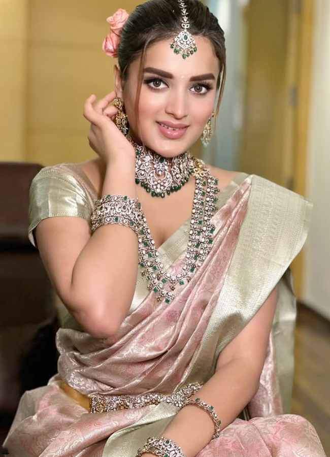 Nidhhi Agerwal shines like gold in gold jewellery8