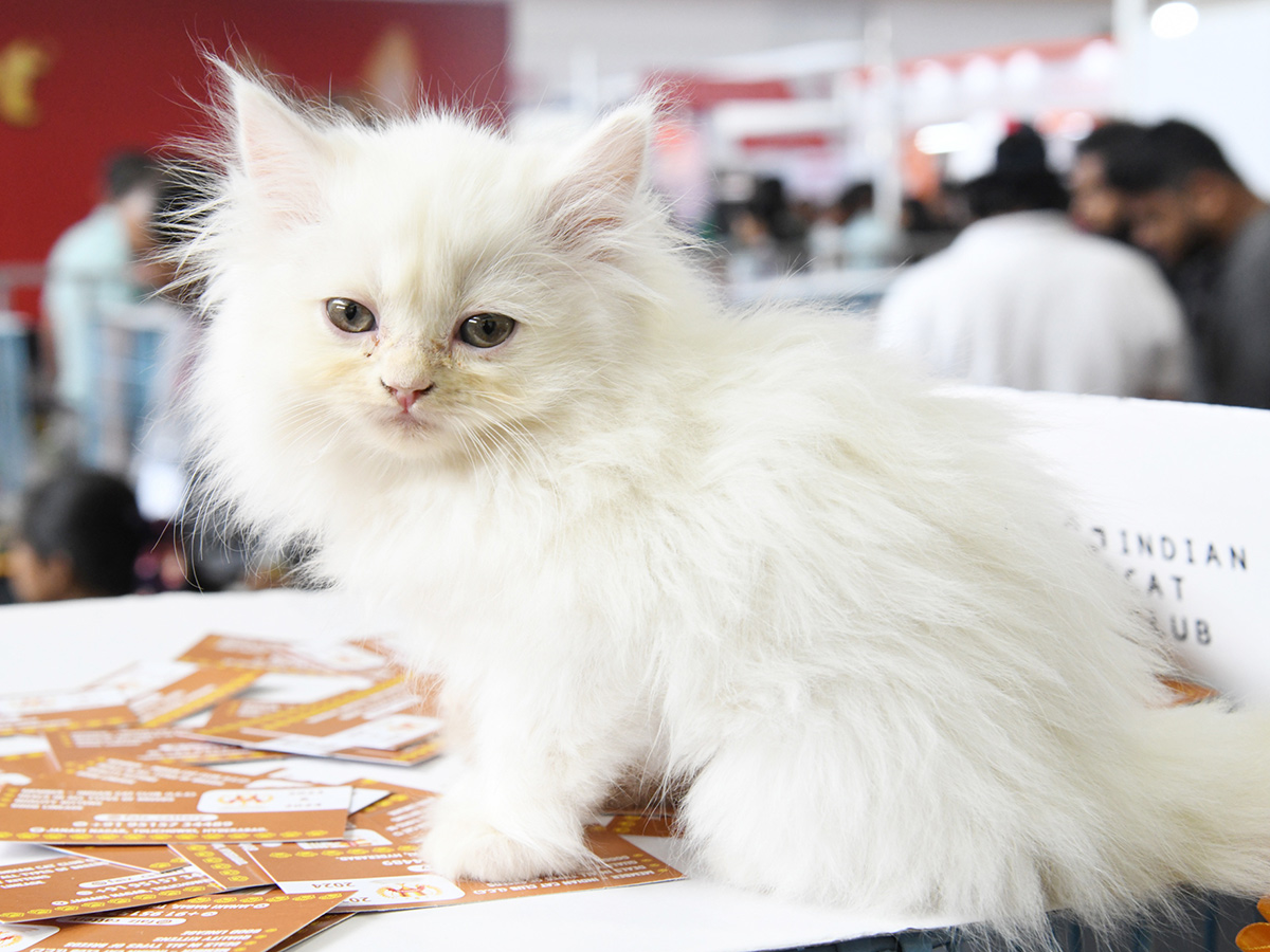 Pets Exhibition Events in Hyderabad Photos10