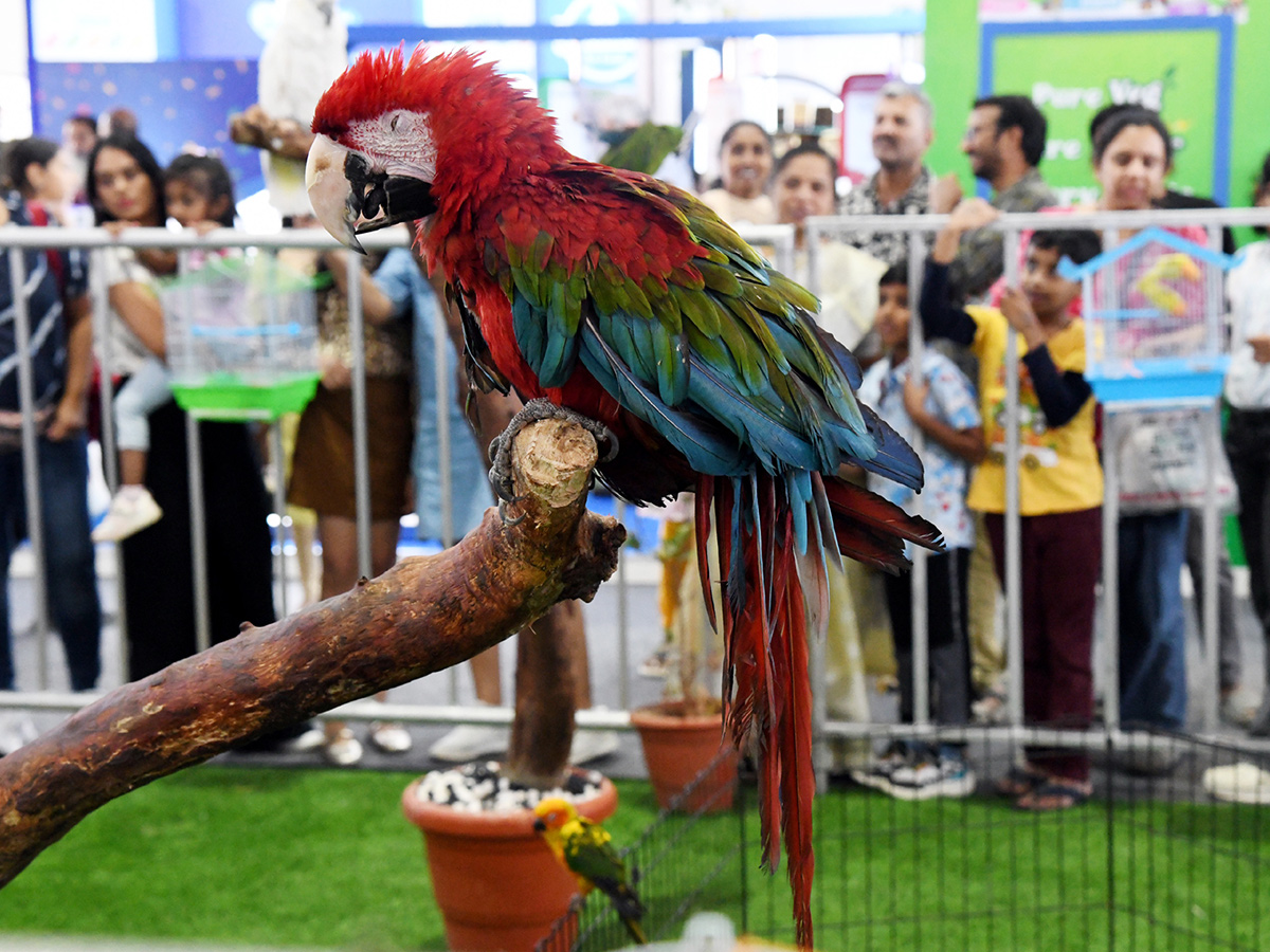 Pets Exhibition Events in Hyderabad Photos3