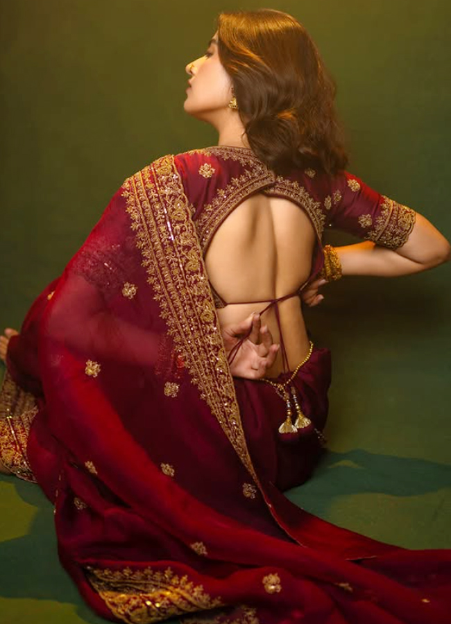 Rukshar Dhillon Dazzles In Saree Photos4