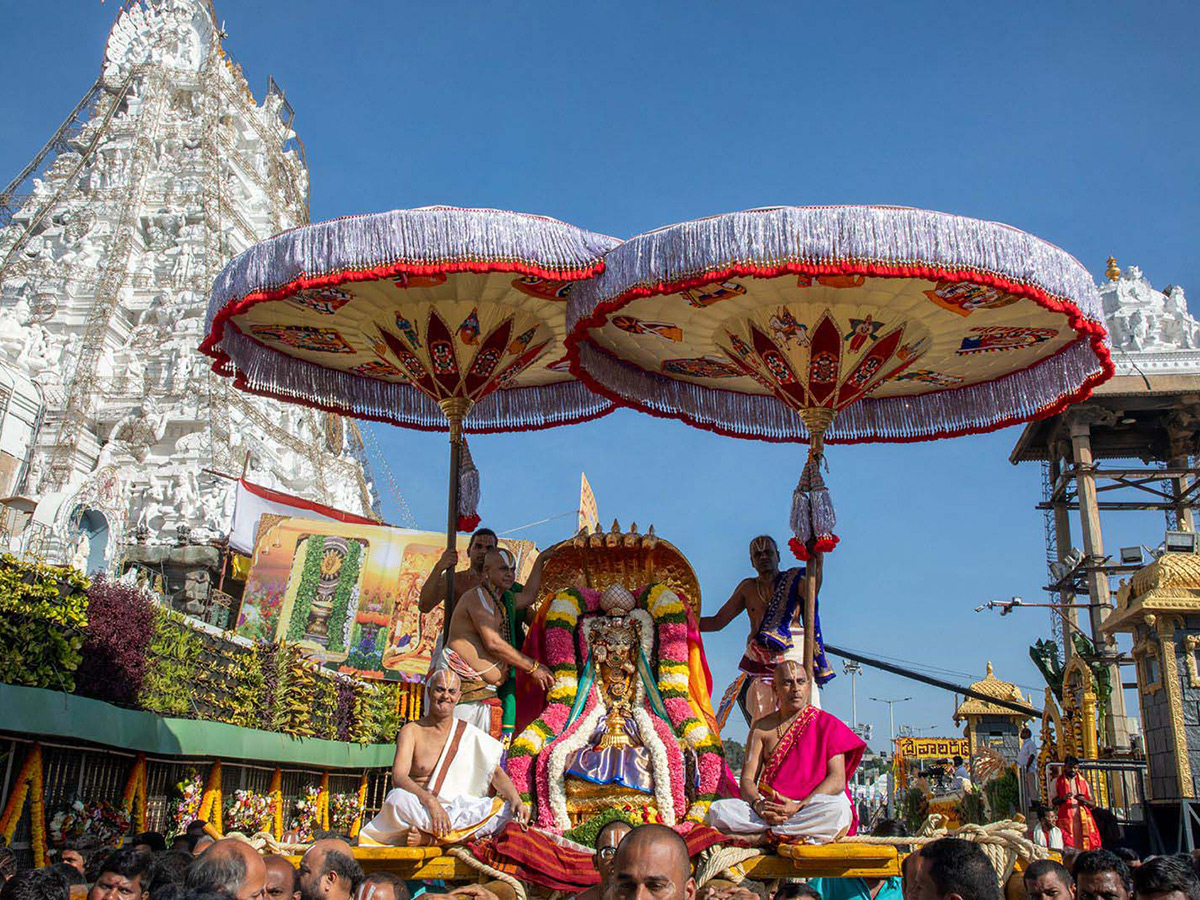 Ratha Saptami 2025 Celebrations in Tirumala Photos11