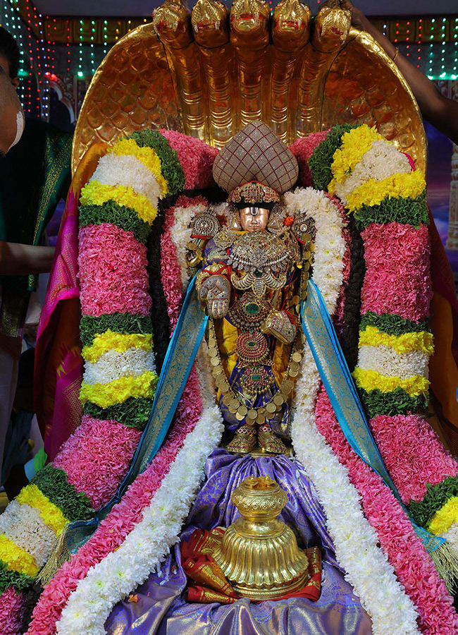 Ratha Saptami 2025 Celebrations in Tirumala Photos16