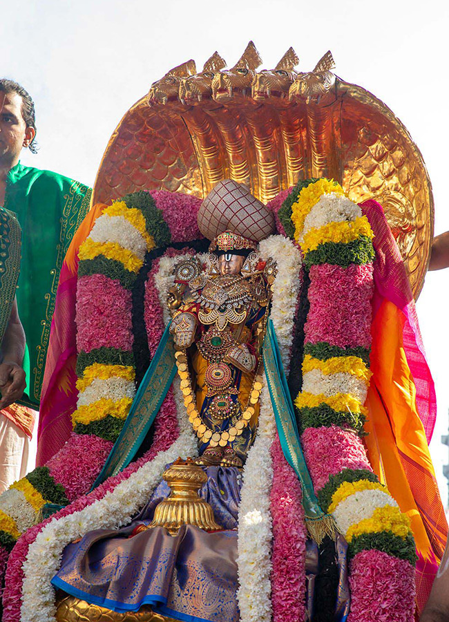 Ratha Saptami 2025 Celebrations in Tirumala Photos17