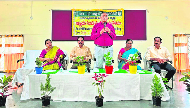 ప్రకృతి వ్యవసాయానికి ప్రోత్సాహం 1