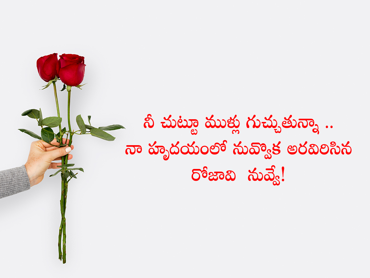 Happy Rose Day Quotes To Wish Your Valentine3