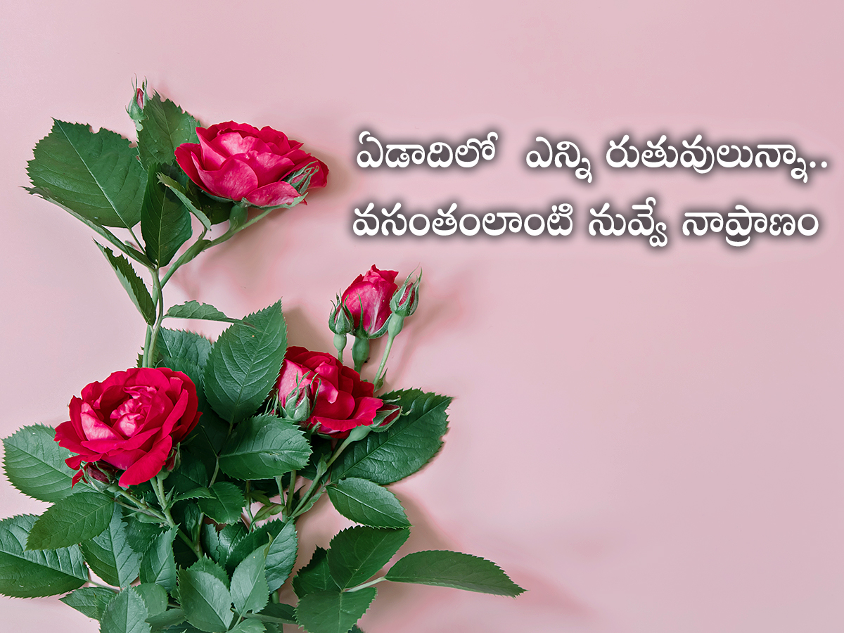 Happy Rose Day Quotes To Wish Your Valentine4